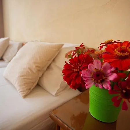 Ioannis Paradise Rental Apartments Pefkochori